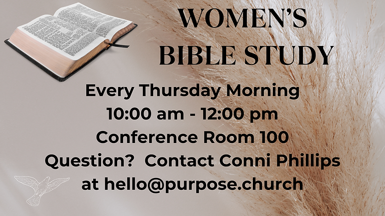 8191cc_08a52e3f53584d9bb6fa124401c14bff~mv2