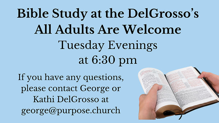 8191cc_0d140c636c8746f8946c8d78ca82eeb9~mv2